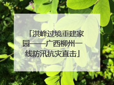 洪峰过境重建家园——广西柳州一线防汛抗灾直击