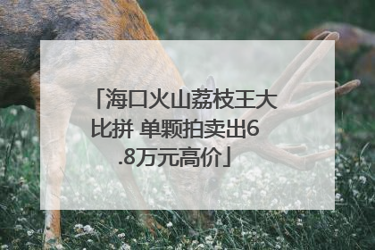 海口火山荔枝王大比拼 单颗拍卖出6.8万元高价