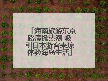 海南旅游东京路演掀热潮 吸引日本游客来琼体验海岛生活