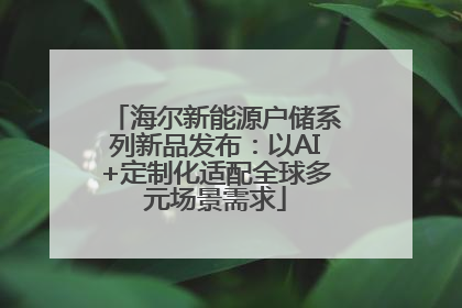 海尔新能源户储系列新品发布：以AI+定制化适配全球多元场景需求