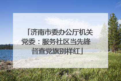 济南市委办公厅机关党委：服务社区当先锋 督查党旗别样红