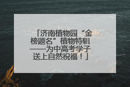济南植物园“金榜题名”植物特辑——为中高考学子送上自然祝福！