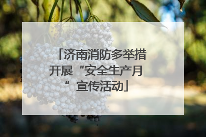 济南消防多举措开展“安全生产月”宣传活动