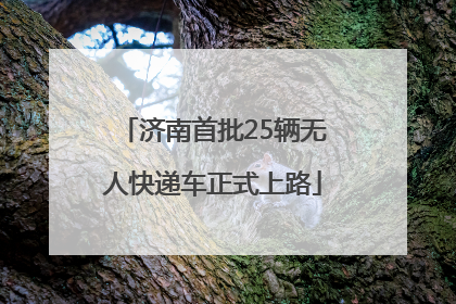 济南首批25辆无人快递车正式上路