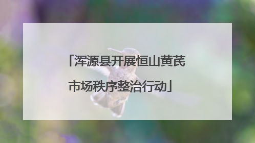 浑源县开展恒山黄芪市场秩序整治行动