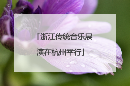 浙江传统音乐展演在杭州举行