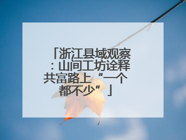 浙江县域观察：山间工坊诠释共富路上“一个都不少”
