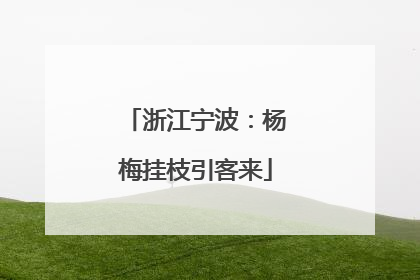 浙江宁波：杨梅挂枝引客来