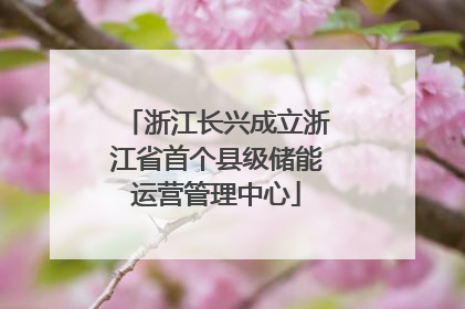 浙江长兴成立浙江省首个县级储能运营管理中心