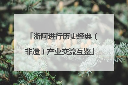 浙阿进行历史经典（非遗）产业交流互鉴