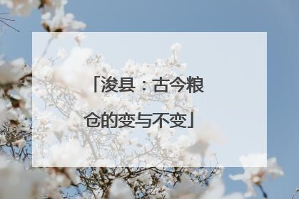 浚县：古今粮仓的变与不变