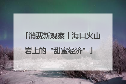 消费新观察丨海口火山岩上的“甜蜜经济”