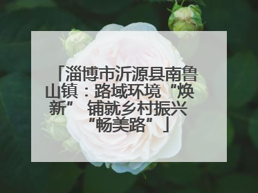 淄博市沂源县南鲁山镇：路域环境“焕新” 铺就乡村振兴“畅美路”