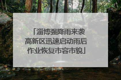淄博强降雨来袭 高新区迅速启动雨后作业恢复市容市貌