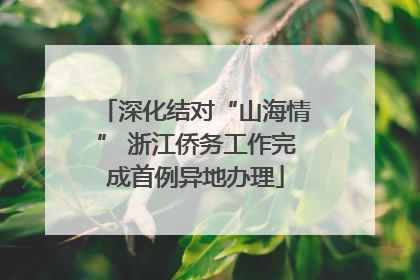 深化结对“山海情” 浙江侨务工作完成首例异地办理