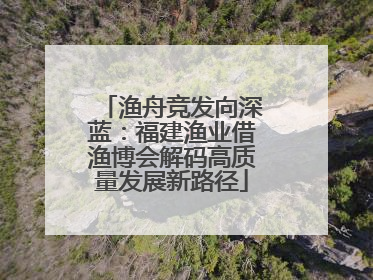 渔舟竞发向深蓝：福建渔业借渔博会解码高质量发展新路径