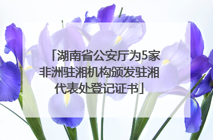 湖南省公安厅为5家非洲驻湘机构颁发驻湘代表处登记证书