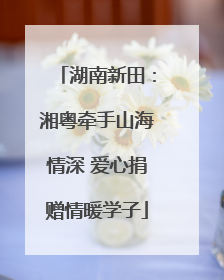 湖南新田：湘粤牵手山海情深 爱心捐赠情暖学子