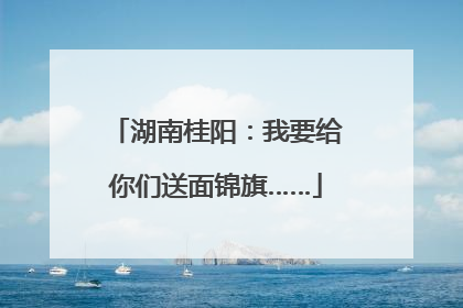 湖南桂阳：我要给你们送面锦旗……