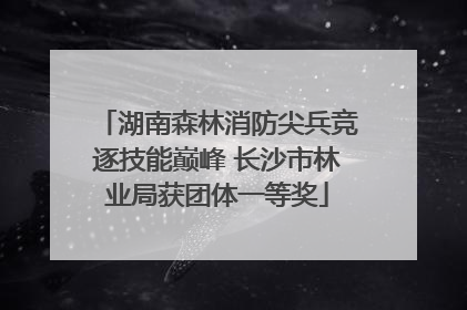 湖南森林消防尖兵竞逐技能巅峰 长沙市林业局获团体一等奖