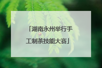湖南永州举行手工制茶技能大赛