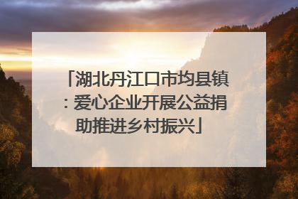 湖北丹江口市均县镇：爱心企业开展公益捐助推进乡村振兴