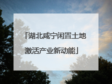 湖北咸宁闲置土地激活产业新动能