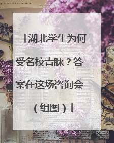 湖北学生为何受名校青睐？答案在这场咨询会（组图）