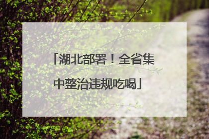 湖北部署！全省集中整治违规吃喝