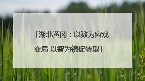湖北黄冈：以数为窗观变局 以智为镜促转型