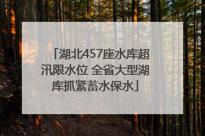 湖北457座水库超汛限水位 全省大型湖库抓紧蓄水保水