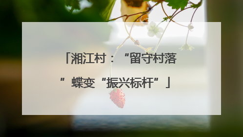湘江村：“留守村落”蝶变“振兴标杆”