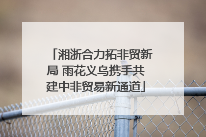 湘浙合力拓非贸新局 雨花义乌携手共建中非贸易新通道