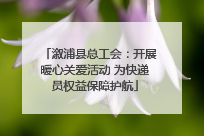 溆浦县总工会：开展暖心关爱活动 为快递员权益保障护航