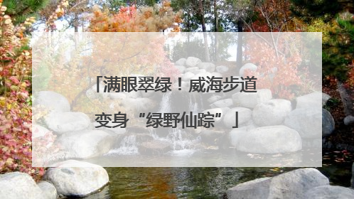 满眼翠绿！威海步道变身“绿野仙踪”