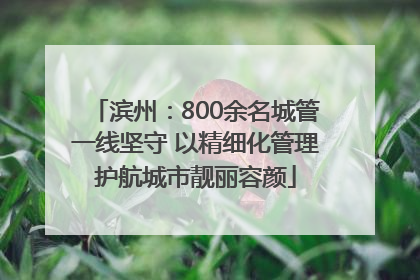 滨州：800余名城管一线坚守 以精细化管理护航城市靓丽容颜