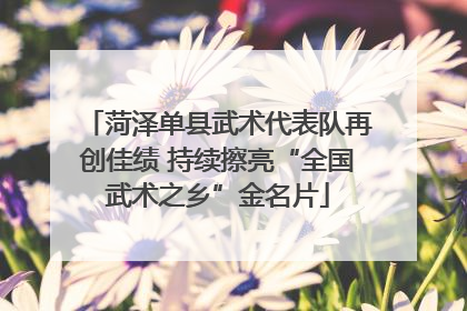 菏泽单县武术代表队再创佳绩 持续擦亮“全国武术之乡”金名片