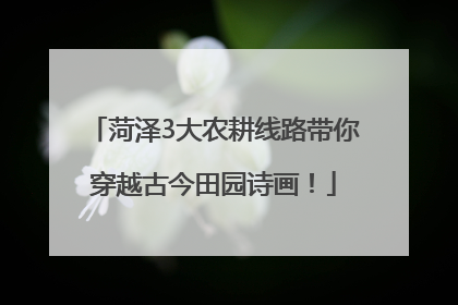 菏泽3大农耕线路带你穿越古今田园诗画！