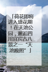 荷花即将进入盛花期！在天池公园，邂逅四川宜宾古八景之一“天池晚照”