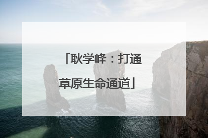 耿学峰：打通草原生命通道
