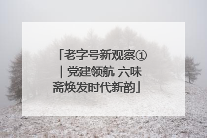 老字号新观察①｜党建领航 六味斋焕发时代新韵