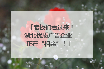 老板们看过来！湖北优质广告企业正在“相亲”！