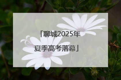 聊城2025年夏季高考落幕