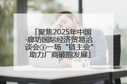 聚焦2025年中国·廊坊国际经济贸易洽谈会③一场“链主会” 助力厂商破圈发展