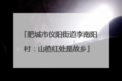肥城市仪阳街道李南阳村：山楂红处是故乡