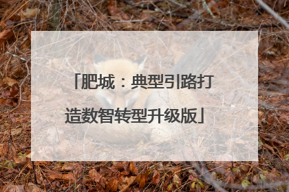 肥城：典型引路打造数智转型升级版