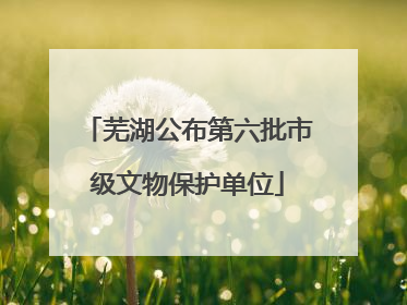 芜湖公布第六批市级文物保护单位