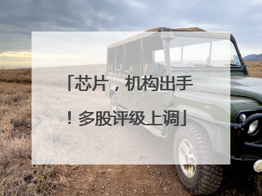 芯片，机构出手！多股评级上调
