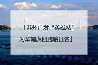 苏州广发“英雄帖”为华南虎四胞胎征名