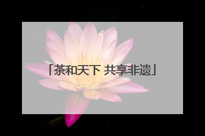 茶和天下 共享非遗
